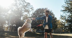 Zabavni načini kako da vežbate sa vašim psom pas