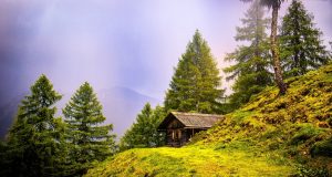 Odmor u prirodi – gde iznajmiti vikendicu u Srbiji