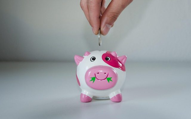 stednja-praznici stednja-praznici