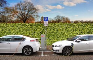 bela-vozila-punjac-zivica