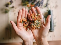 Biljni preparati kao prirodna podrška zdravlju